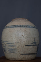Chinese blauw-witte voorraadpot met landschapsdecoratie