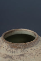Chinese blauw-witte voorraadpot met landschapsdecoratie