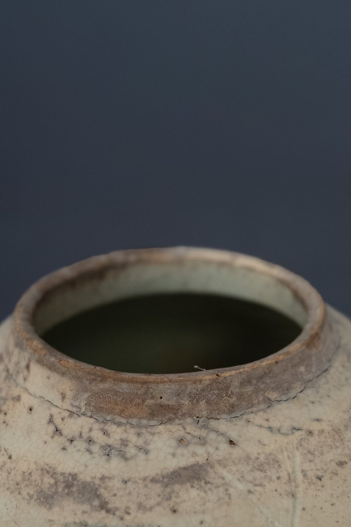 Chinese blauw-witte voorraadpot met landschapsdecoratie