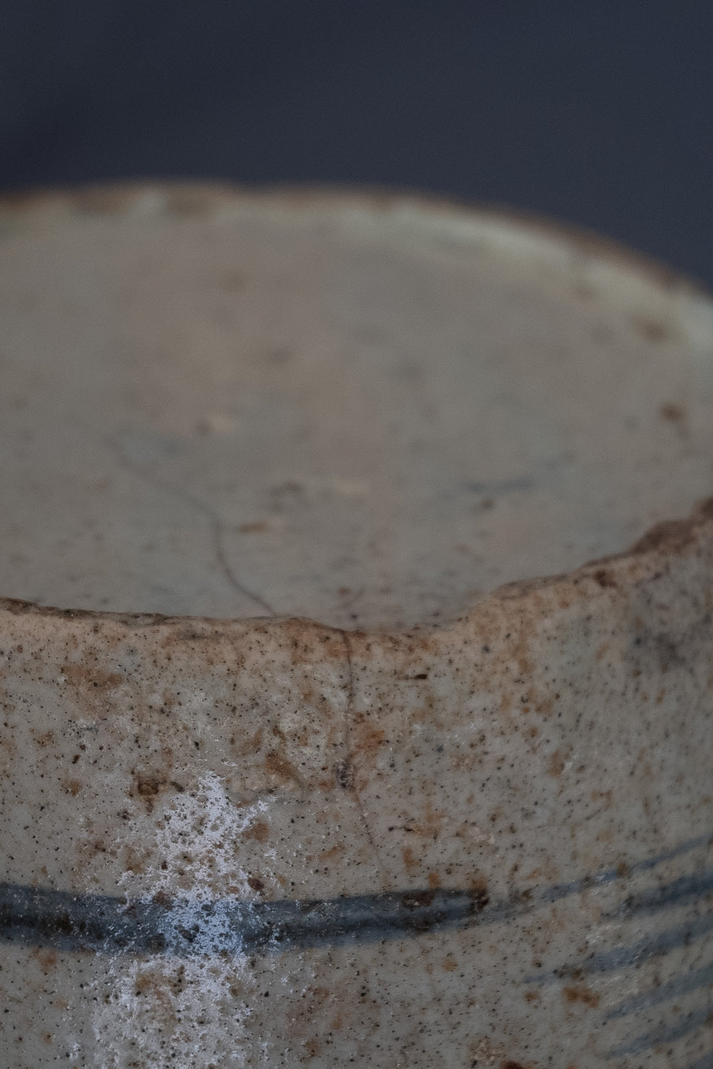 Chinese blauw-witte voorraadpot met landschapsdecoratie