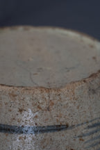 Chinese blauw-witte voorraadpot met landschapsdecoratie