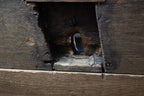 Antieke handgesneden houten dekenkist