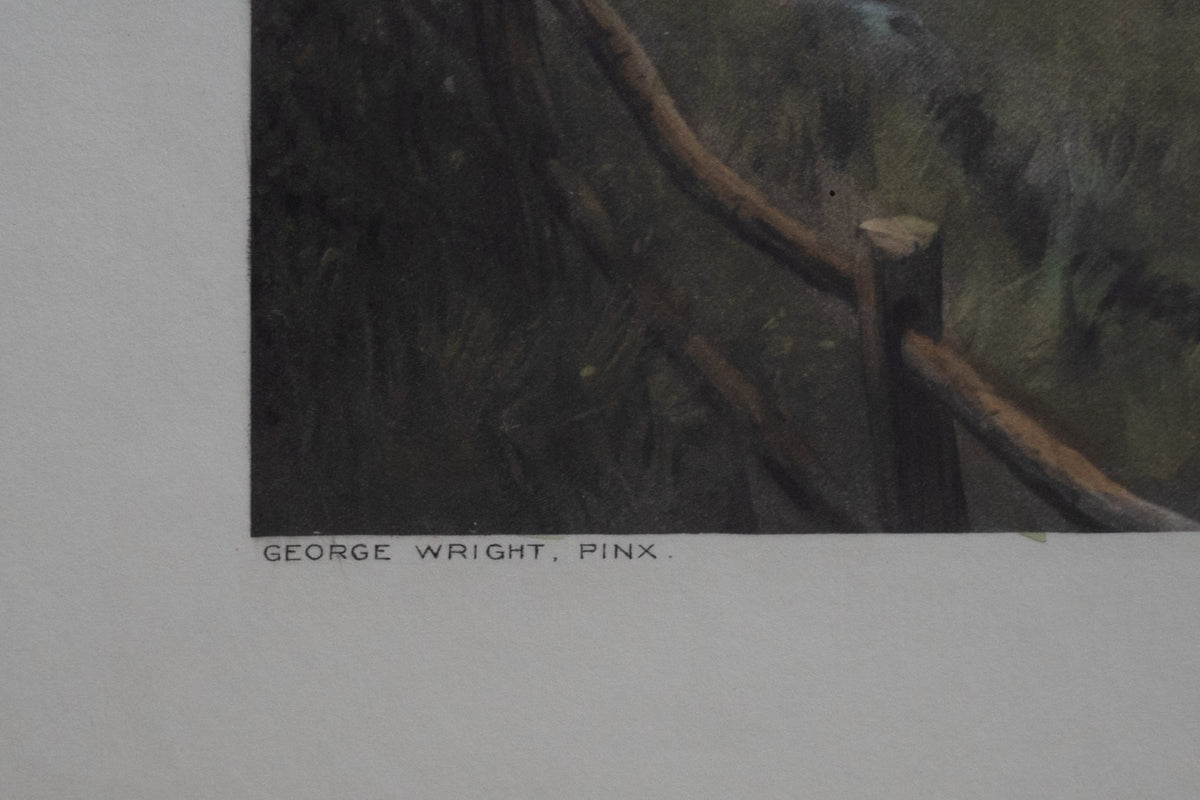 Engelse jachtprent ‘Gone Away!’ – George Wright